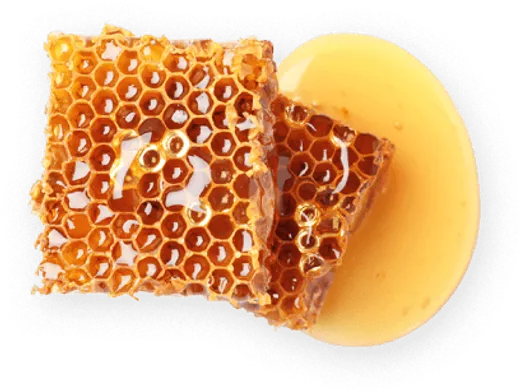 Cera de abeja